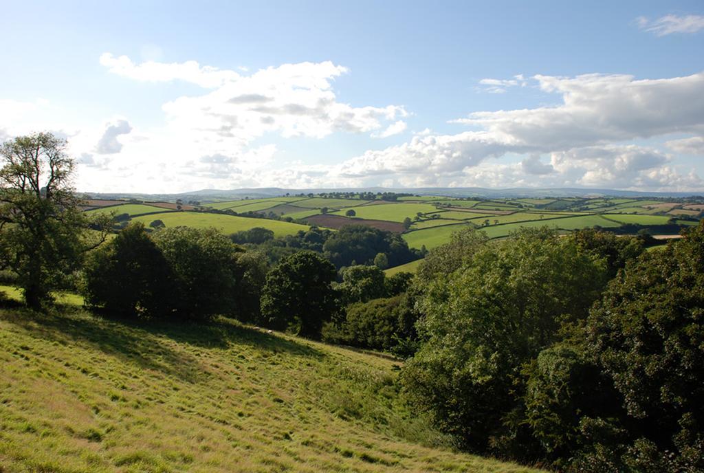 Kerswell Farmhouse ทอตเนส ภายนอก รูปภาพ