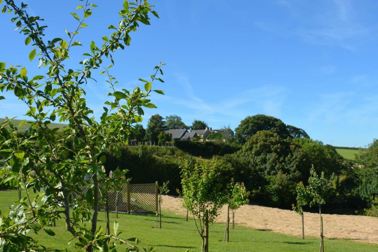 Kerswell Farmhouse ทอตเนส ภายนอก รูปภาพ